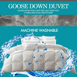 DreamZ 700GSM All Season Goose Down Feather Filling Duvet King Single